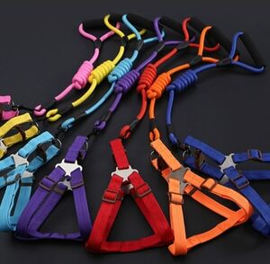 3 Piece, Messsge Me For Colors, Dog harness, collars, and leash set